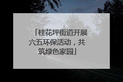 桂花坪街道开展六五环保活动，共筑绿色家园