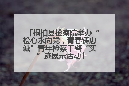 桐柏县检察院举办“检心永向党，青春铸忠诚”青年检察干警“实”迹展示活动