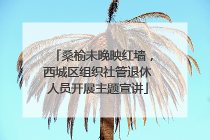 桑榆未晚映红墙，西城区组织社管退休人员开展主题宣讲