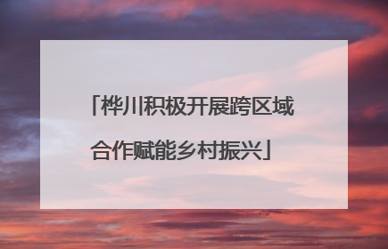 桦川积极开展跨区域合作赋能乡村振兴