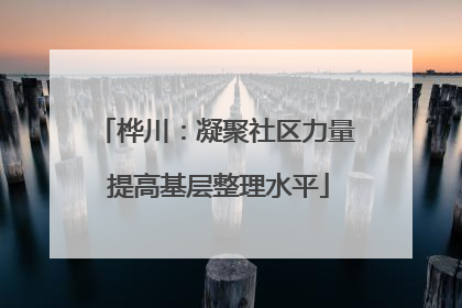 桦川：凝聚社区力量 提高基层整理水平