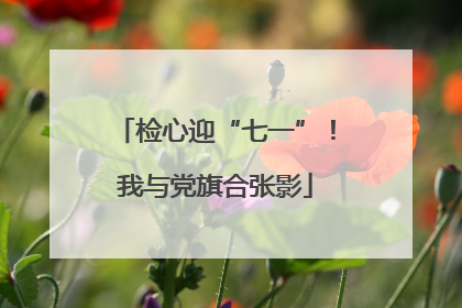检心迎“七一”！我与党旗合张影