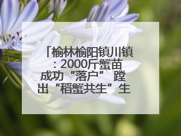 榆林榆阳镇川镇：2000斤蟹苗成功“落户” 蹚出“稻蟹共生”生态种养新路径