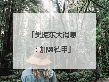 樊振东大消息：加盟德甲