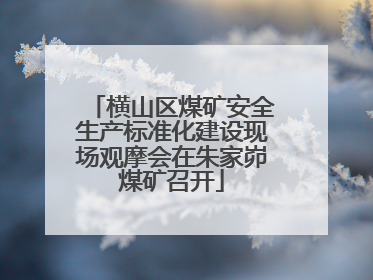 横山区煤矿安全生产标准化建设现场观摩会在朱家峁煤矿召开