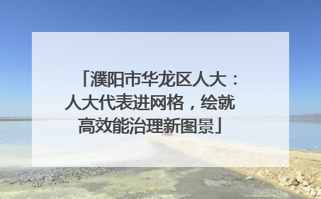 濮阳市华龙区人大：人大代表进网格，绘就高效能治理新图景