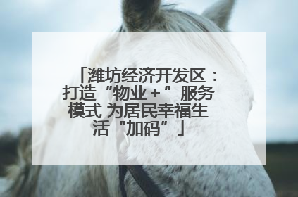潍坊经济开发区：打造“物业＋”服务模式 为居民幸福生活“加码”