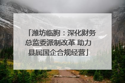 潍坊临朐：深化财务总监委派制改革 助力县属国企合规经营