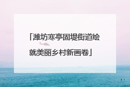 潍坊寒亭固堤街道绘就美丽乡村新画卷
