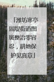 潍坊寒亭固堤街道图斑整治零容忍，耕地保护见真章