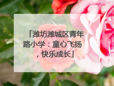 潍坊潍城区青年路小学：童心飞扬，快乐成长