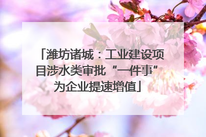 潍坊诸城：工业建设项目涉水类审批“一件事” 为企业提速增值