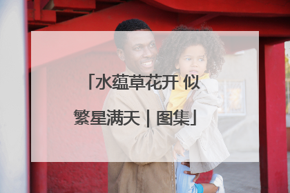 水蕴草花开 似繁星满天｜图集