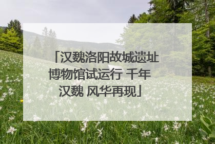 汉魏洛阳故城遗址博物馆试运行 千年汉魏 风华再现