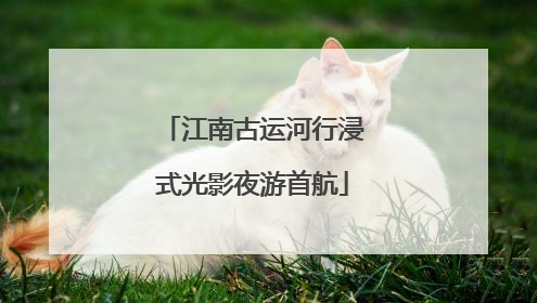 江南古运河行浸式光影夜游首航