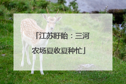 江苏盱眙：三河农场夏收夏种忙
