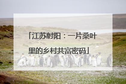 江苏射阳：一片桑叶里的乡村共富密码