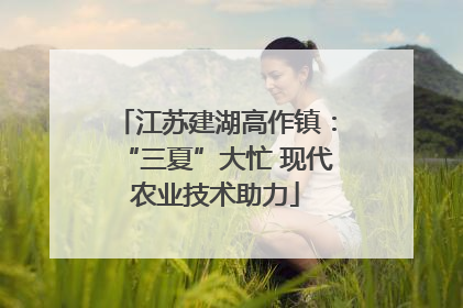 江苏建湖高作镇：“三夏”大忙 现代农业技术助力