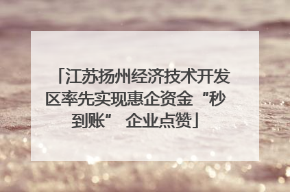 江苏扬州经济技术开发区率先实现惠企资金“秒到账” 企业点赞