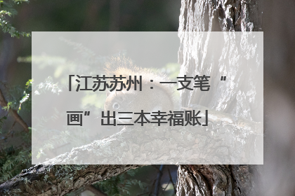 江苏苏州：一支笔“画”出三本幸福账