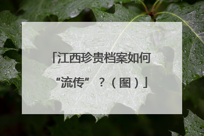 江西珍贵档案如何“流传”？（图）