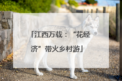 江西万载：“花经济”带火乡村游