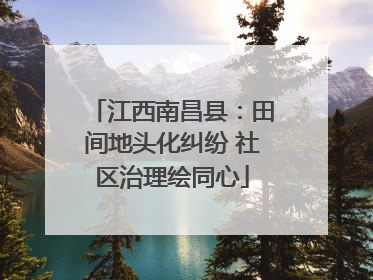 江西南昌县：田间地头化纠纷 社区治理绘同心