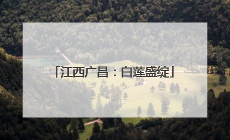 江西广昌：白莲盛绽