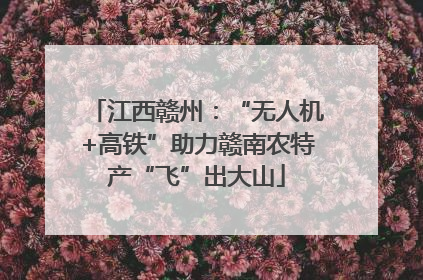 江西赣州：“无人机+高铁”助力赣南农特产“飞”出大山