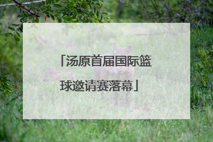 汤原首届国际篮球邀请赛落幕