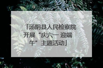 汤阴县人民检察院开展“庆六一 迎端午”主题活动