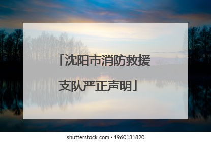 沈阳市消防救援支队严正声明