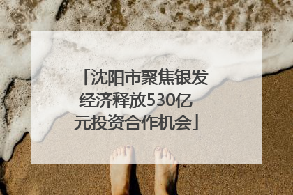 沈阳市聚焦银发经济释放530亿元投资合作机会