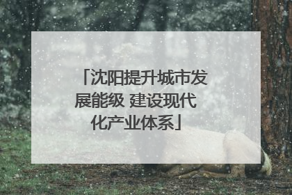沈阳提升城市发展能级 建设现代化产业体系