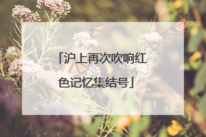 沪上再次吹响红色记忆集结号