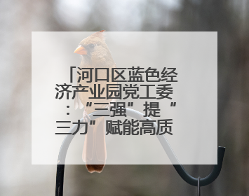 河口区蓝色经济产业园党工委：“三强”提“三力”赋能高质量发展