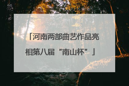 河南两部曲艺作品亮相第八届“南山杯”
