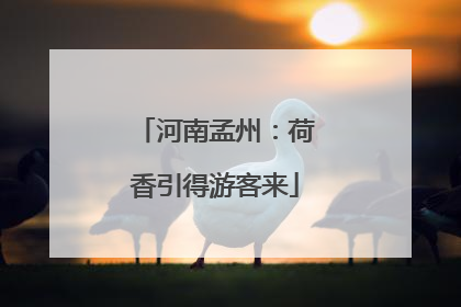 河南孟州：荷香引得游客来