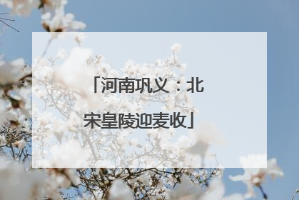 河南巩义：北宋皇陵迎麦收