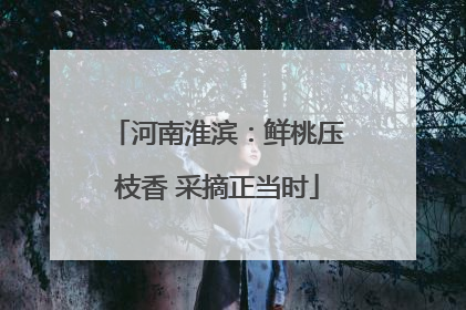 河南淮滨：鲜桃压枝香 采摘正当时