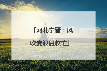河北宁晋：风吹麦浪夏收忙