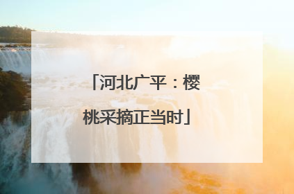 河北广平：樱桃采摘正当时