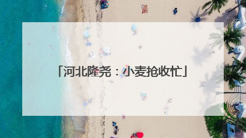 河北隆尧：小麦抢收忙