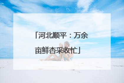 河北顺平：万余亩鲜杏采收忙