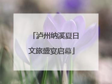 泸州纳溪夏日文旅盛宴启幕