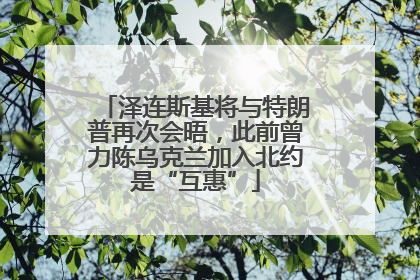 泽连斯基将与特朗普再次会晤，此前曾力陈乌克兰加入北约是“互惠”