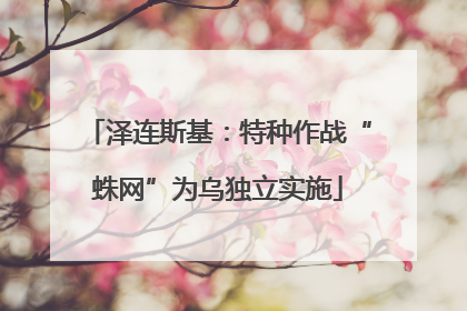 泽连斯基：特种作战“蛛网”为乌独立实施