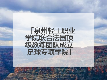 泉州轻工职业学院联合法国顶级教练团队成立足球专项学院