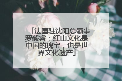 法国驻沈阳总领事罗毅睿：红山文化是中国的瑰宝，也是世界文化遗产