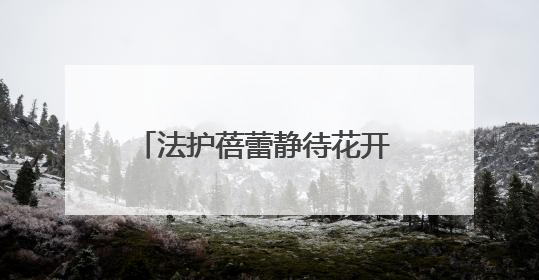 法护蓓蕾静待花开 司法育苗情暖童心
